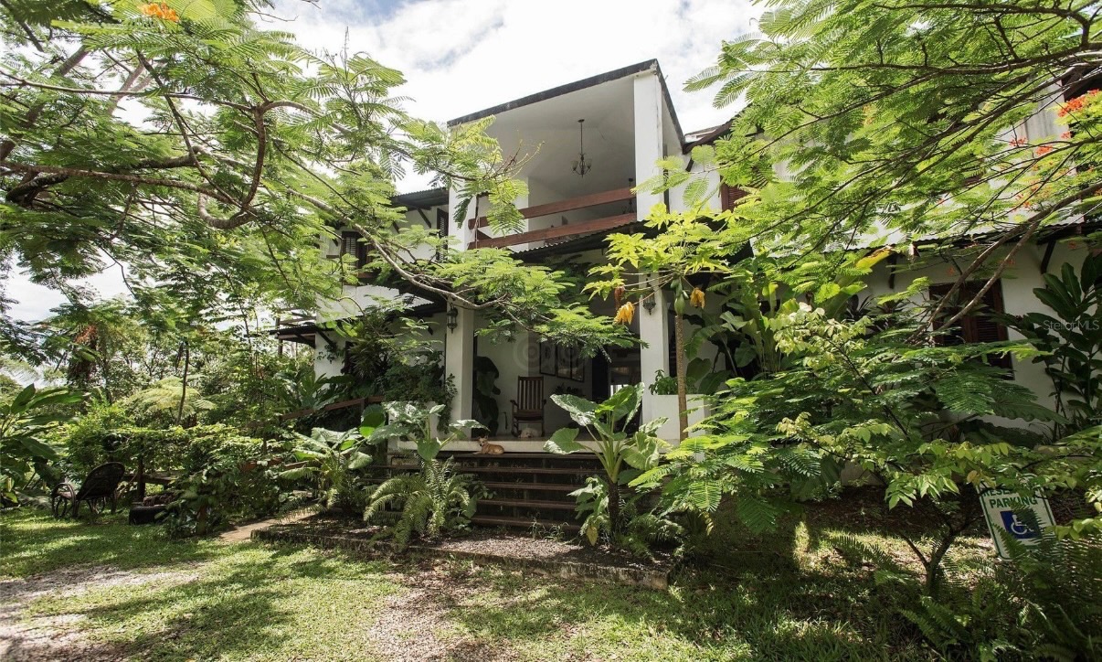 Eco-lodging within the rainforest canopy